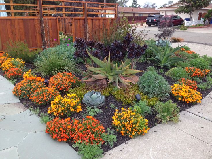 Save Water With Stunning Drought, How Much Does Drought Resistant Landscaping Cost